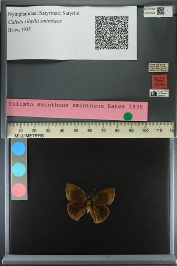 Media type: image;   Entomology 21989